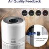 Smart Air Purifier