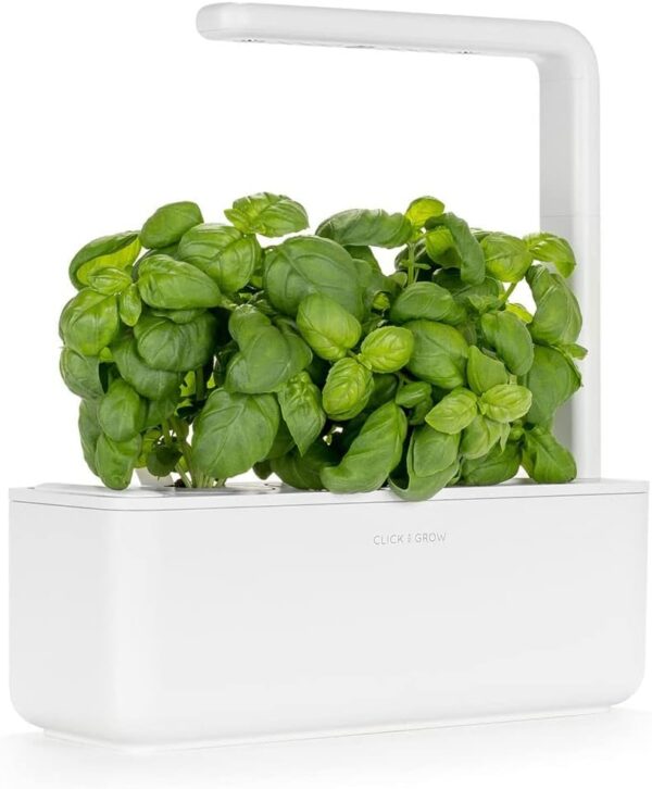 Indoor Herb Garden Kit