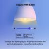 Smart Bulb Feature