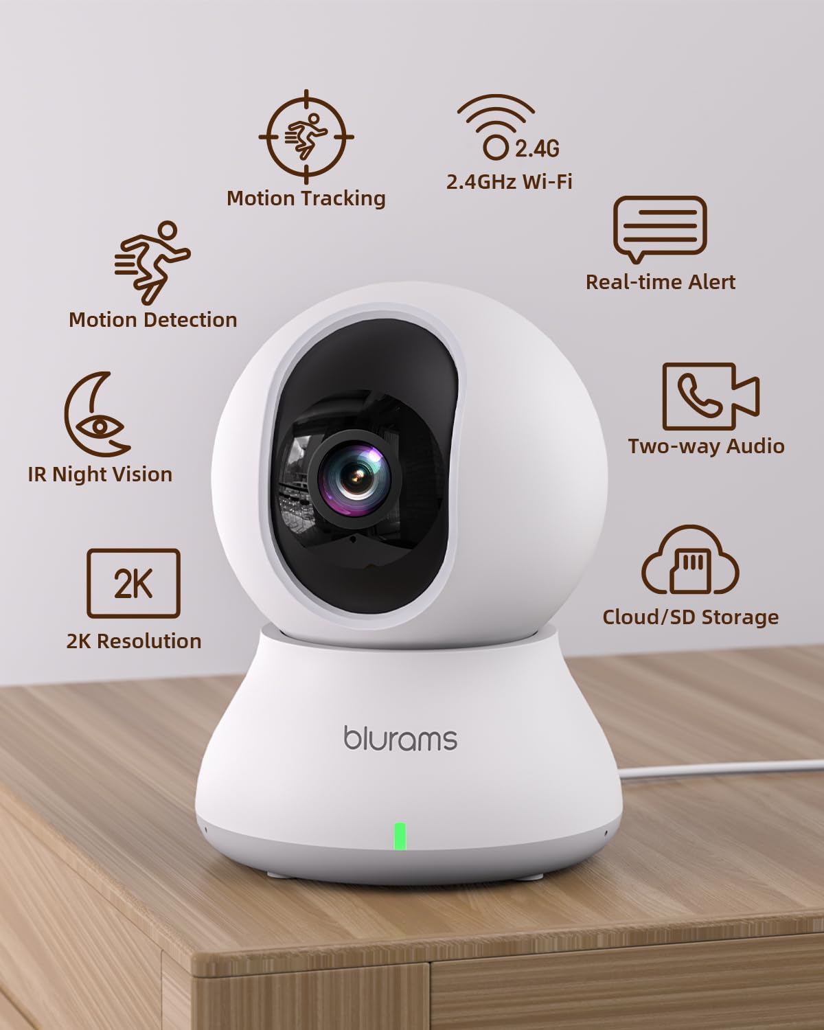 Pet Camera/Security Camera Feature