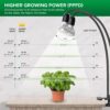 Grow Lights for Indoor Plants Feature