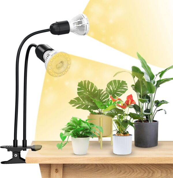 Grow Lights for Indoor Plants