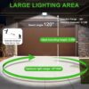 Security Lights Feature