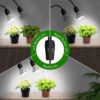 Grow Lights for Indoor Plants Feature